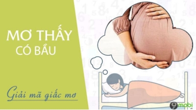 Nằm mơ thấy chiến tranh đánh con gì? là điềm báo lành hay dữ?