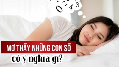 Con dê là số mấy? Giải mã ý nghĩa về giấc mơ thấy con dê