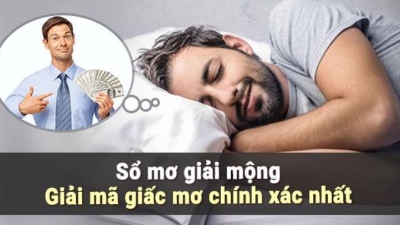 Nằm mơ thấy chim chết là điềm báo lành hay dữ? Đánh con gì thắng lớn?