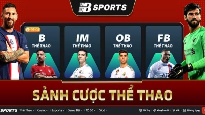 Bsport - Nhà cái thể thao uy tín hàng đầu tại châu Á